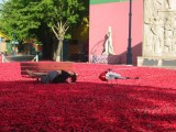 Flying-Cam, Close Range Aerial Filming, Flower By Kenzo